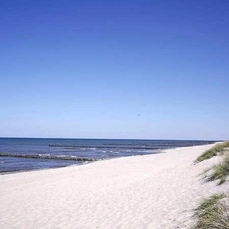 Achtern Diek 8A - Wohnung 5 Zingst Zewnętrze zdjęcie