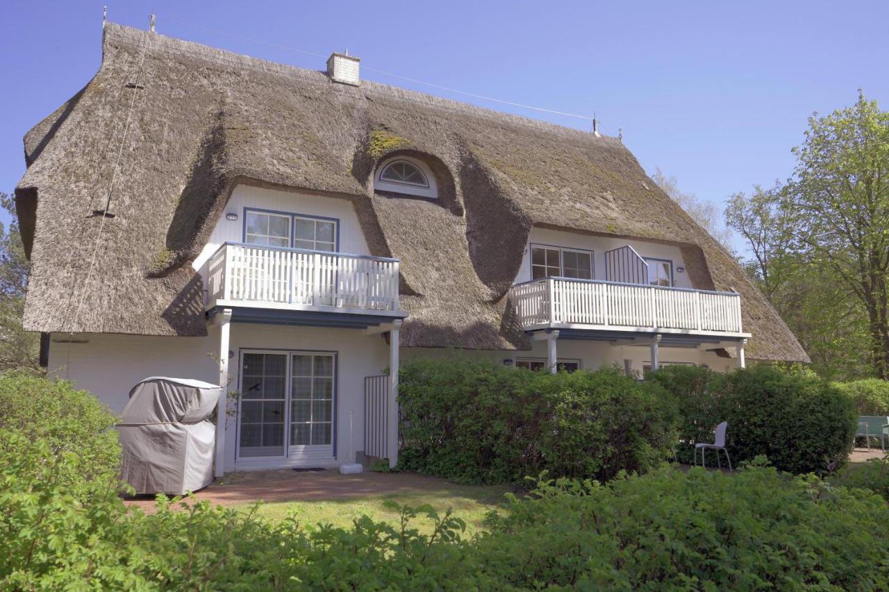 Achtern Diek 8A - Wohnung 5 Zingst Zewnętrze zdjęcie
