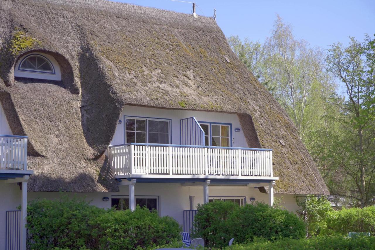 Achtern Diek 8A - Wohnung 5 Zingst Zewnętrze zdjęcie