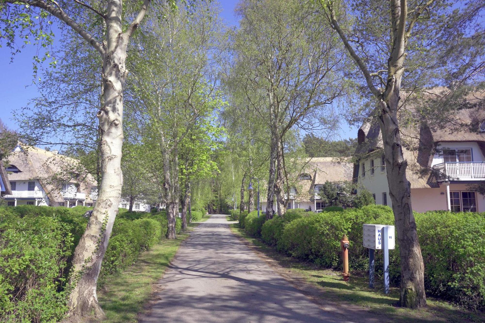 Achtern Diek 8A - Wohnung 5 Zingst Zewnętrze zdjęcie